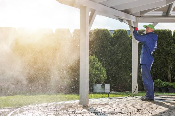 Best Solar Panel Cleaning  in Riverdale, NJ